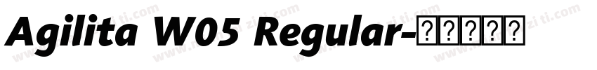 Agilita W05 Regular字体转换